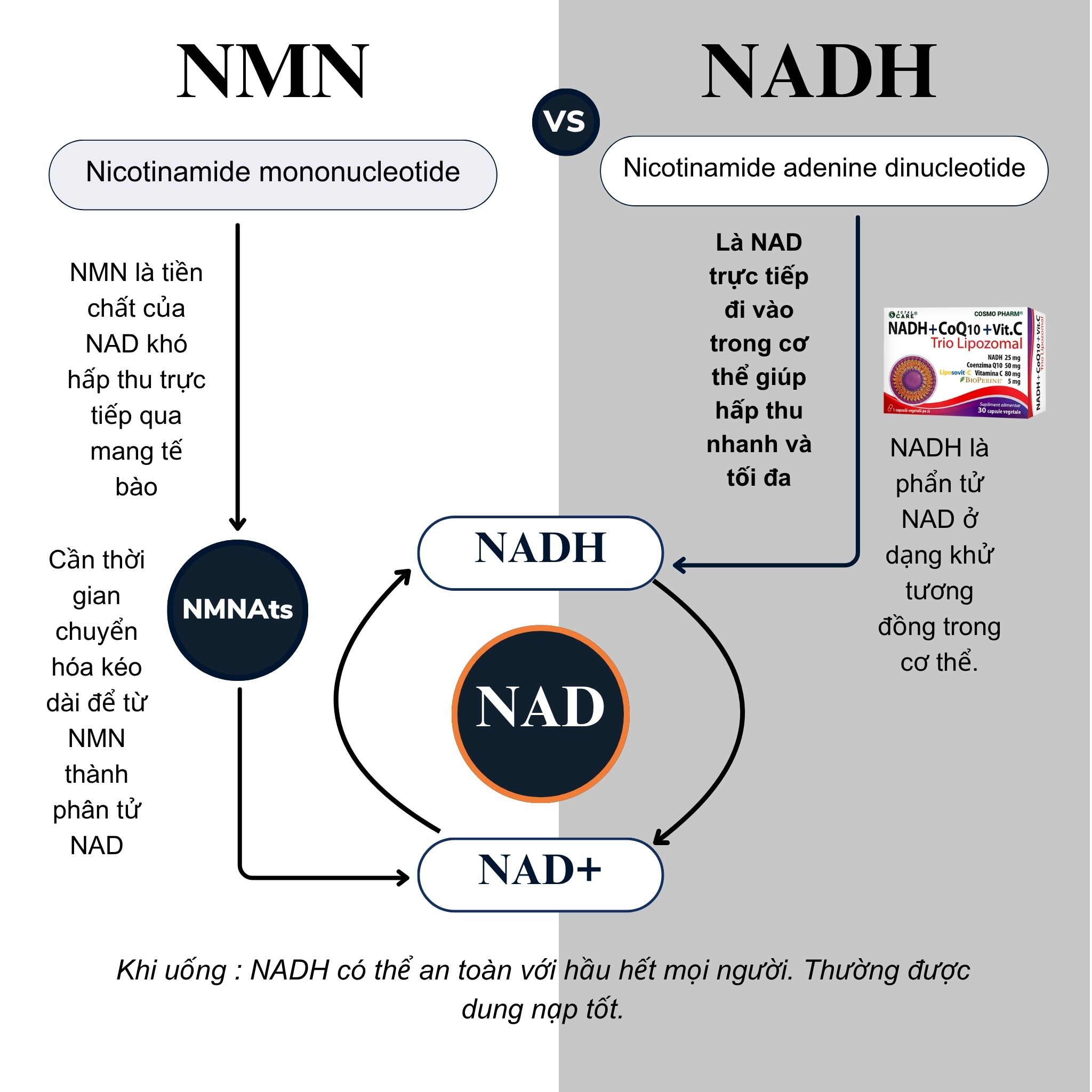 NADH + COENZYME Q10 + VITAMIN C – Trio Lipozomal - Hình ảnh 6