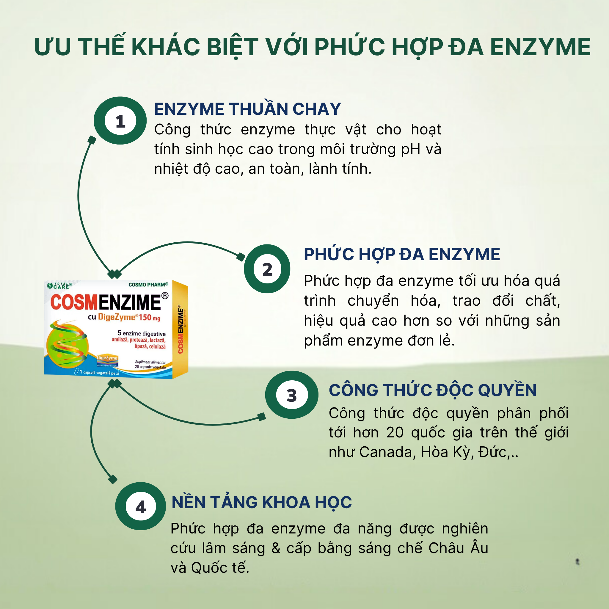 Cosenzyme - Phức hợp đa enzyme thuần chay - Hình ảnh 3