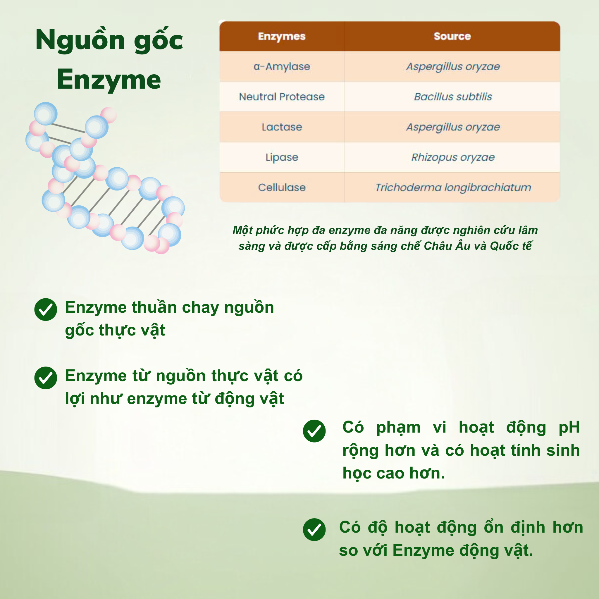 Cosenzyme - Phức hợp đa enzyme thuần chay - Hình ảnh 2