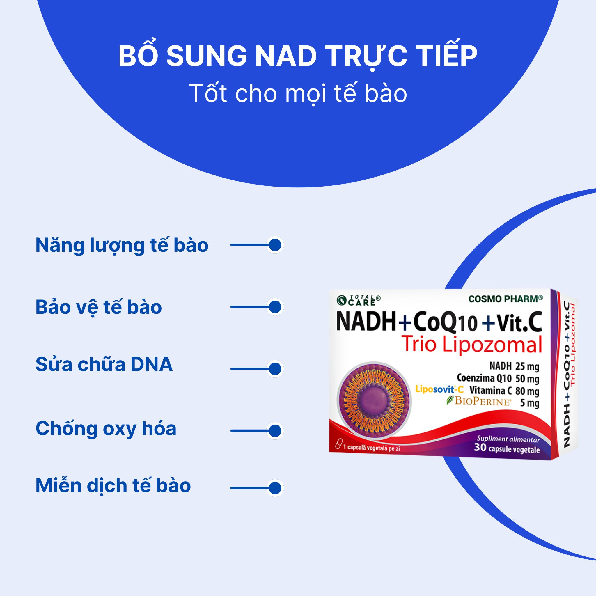 NADH + COENZYME Q10 + VITAMIN C – Trio Lipozomal - Hình ảnh 3